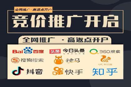 百度推广费用案例：成功案例分析及启示